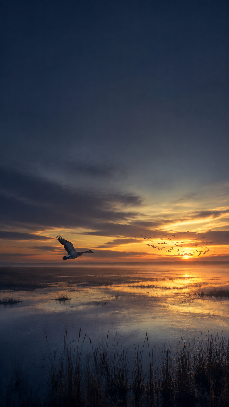 A migrating bird joining a wider formation above a quiet wetland at blue hour